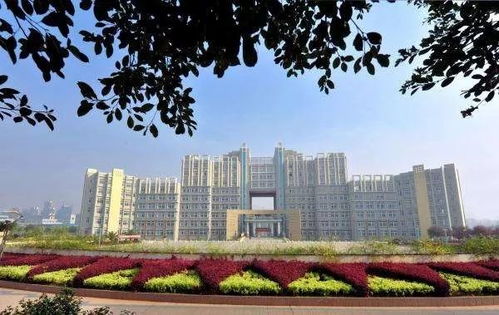 這些事，在江理是不存在的 —— 環境工程篇